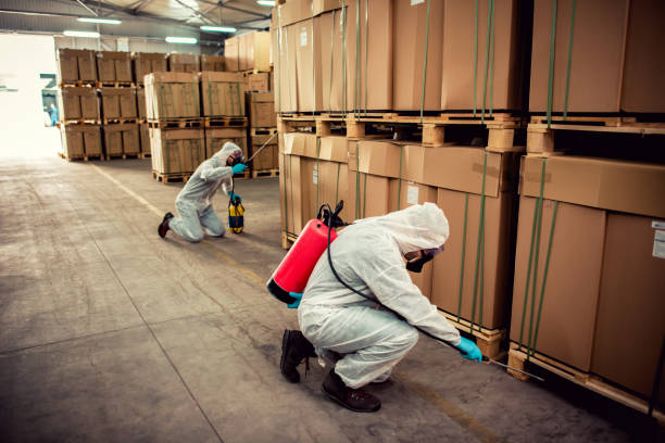 Best Pest Prevention Services  in Wake Village, TX