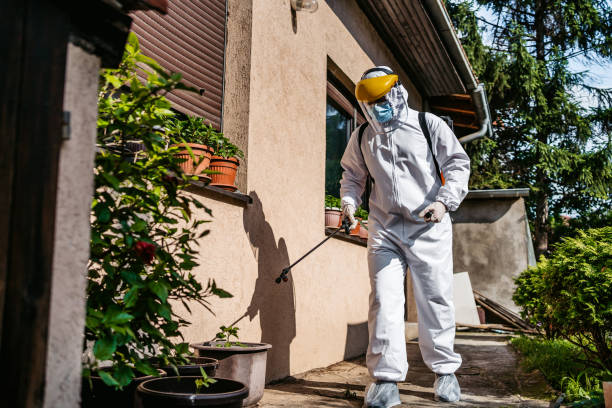 Best Residential Pest Control  in Wake Village, TX