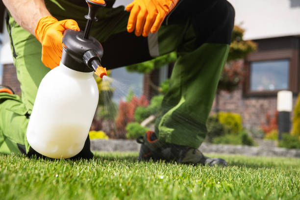 Professional Pest Control in Wake Village, TX