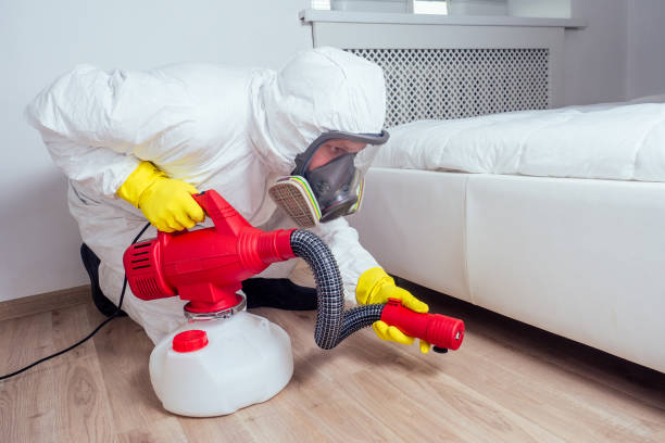 Best Bed Bug Extermination  in Wake Village, TX
