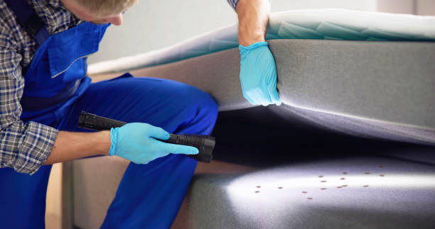 Best Affordable Pest Control Services  in Wake Village, TX
