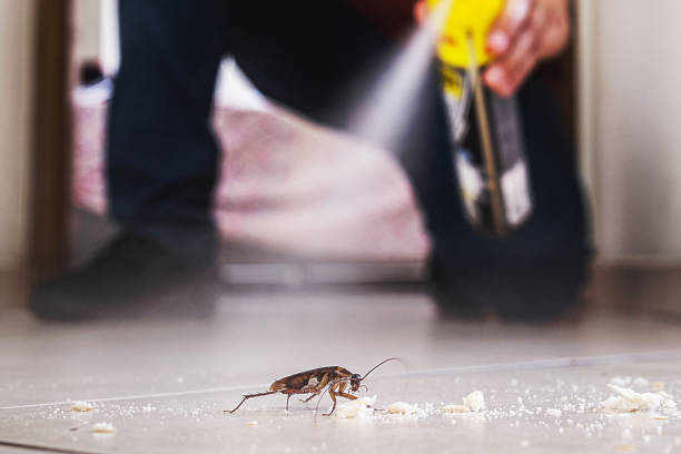 Best Wildlife Control Services  in Wake Village, TX
